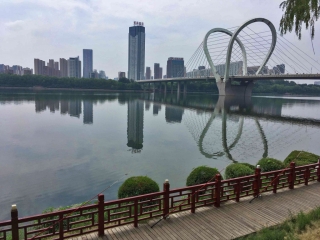 t_2018-07-03 12.50.17.jpg